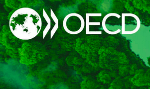 “How has the Paris Agreement shaped mitigation policy? Assessing progress at ten years”, OECD COP30 Virtual Pavilion, 17 November 2025